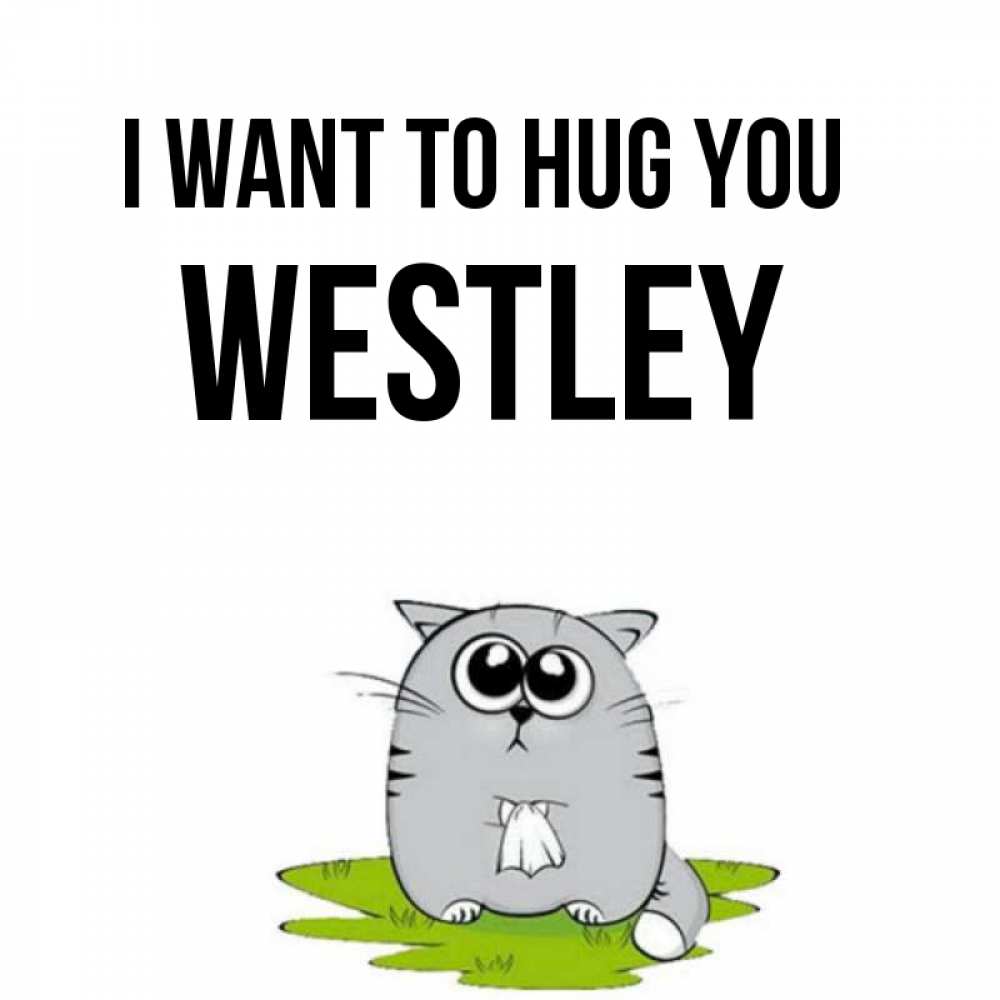 Greetings card с именем, Westley I want to hug you котик теребит платочек сидя на травке Greetings with text for free download 