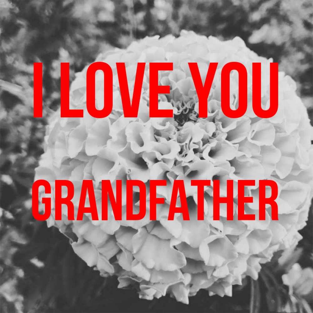 Greetings card с именем, grandfather I love you подпись Greetings with text for free download 