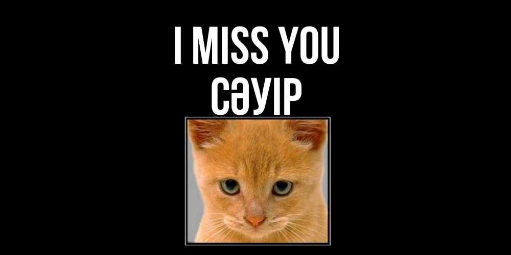 Greetings card с именем, СӘУІР I miss you открытки рыжий котенок скучает по тебе Greetings with text for free download 