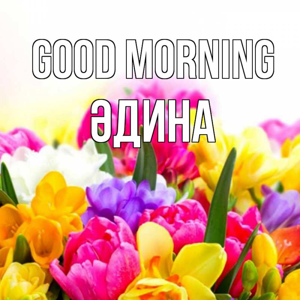 Greetings card с именем, ӘДИНА Good morning создать открытку со свое подписью Greetings with text for free download 
