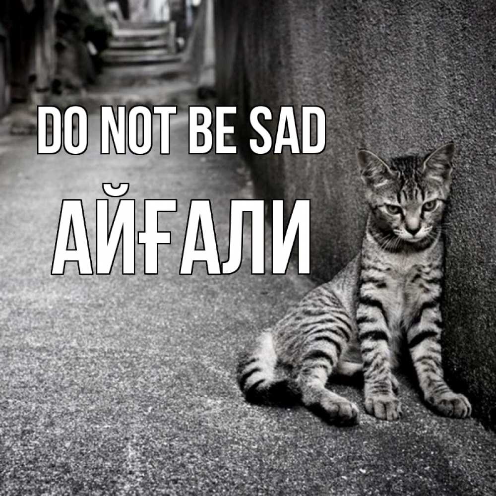 Greetings card с именем, Айғали Do not be sad скучающий котик Greetings with text for free download 