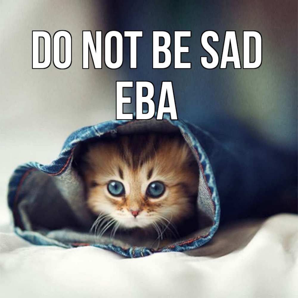 Greetings card с именем, Ева Do not be sad кот в одежде Greetings with text for free download 