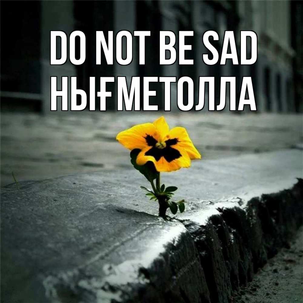 Greetings card с именем, НЫҒМЕТОЛЛА Do not be sad не сдавайся Greetings with text for free download 