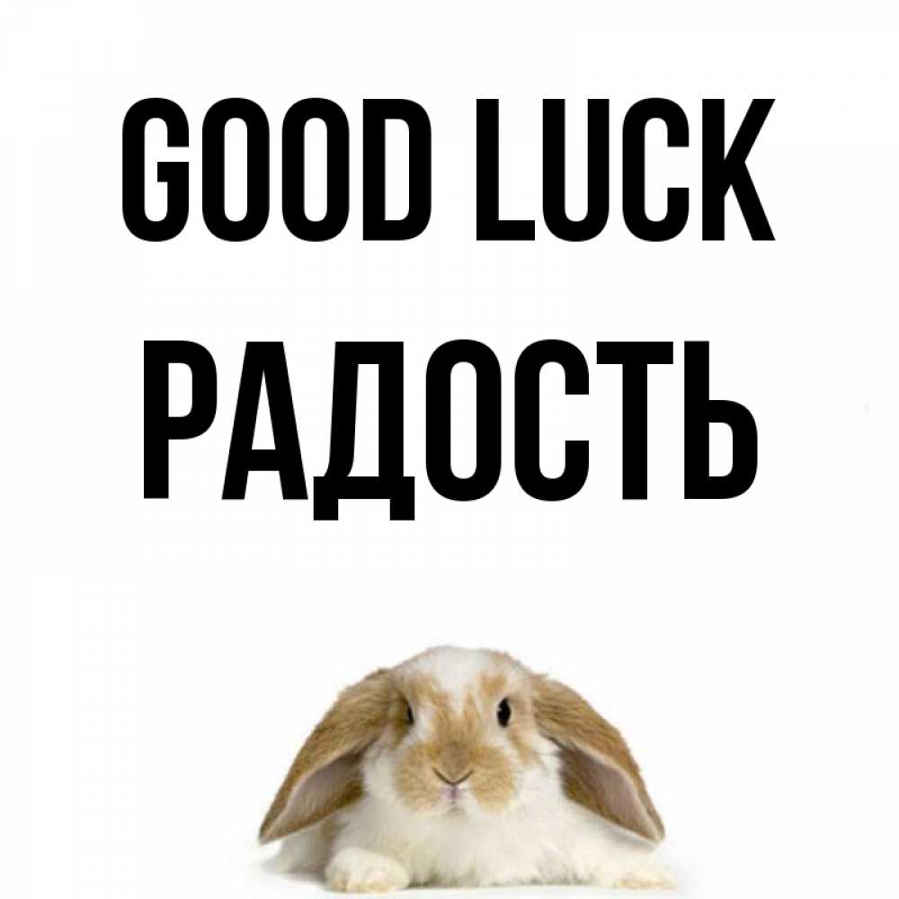 Greetings card с именем, Радость Good luck открытки с произвольным текстом который можно вставить в открытку и создать ее самостоятельно бесплатно онлайн Greetings with text for free download 