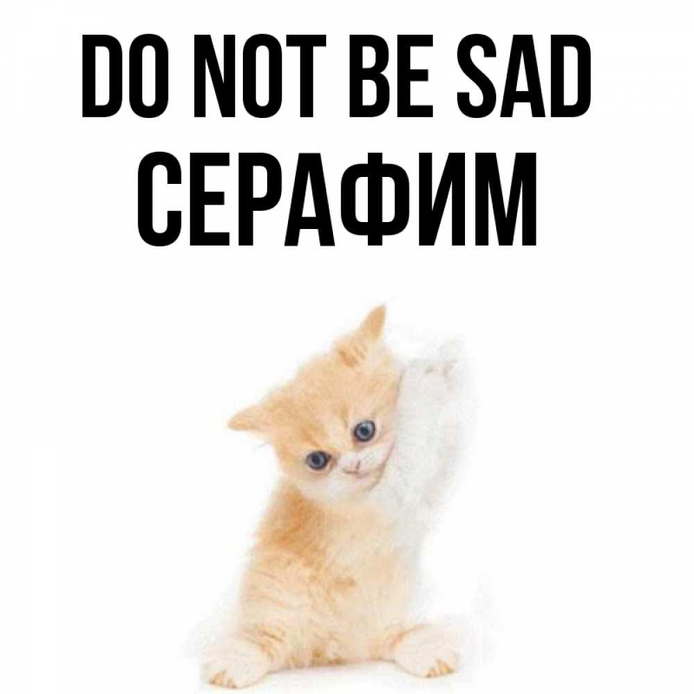 Greetings card с именем, Серафим Do not be sad просящий кот Greetings with text for free download 