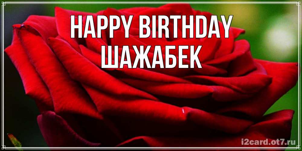 Greetings card с именем, ШАЖАБЕК Happy Birthday розочка очень красивая Greetings with text for free download 