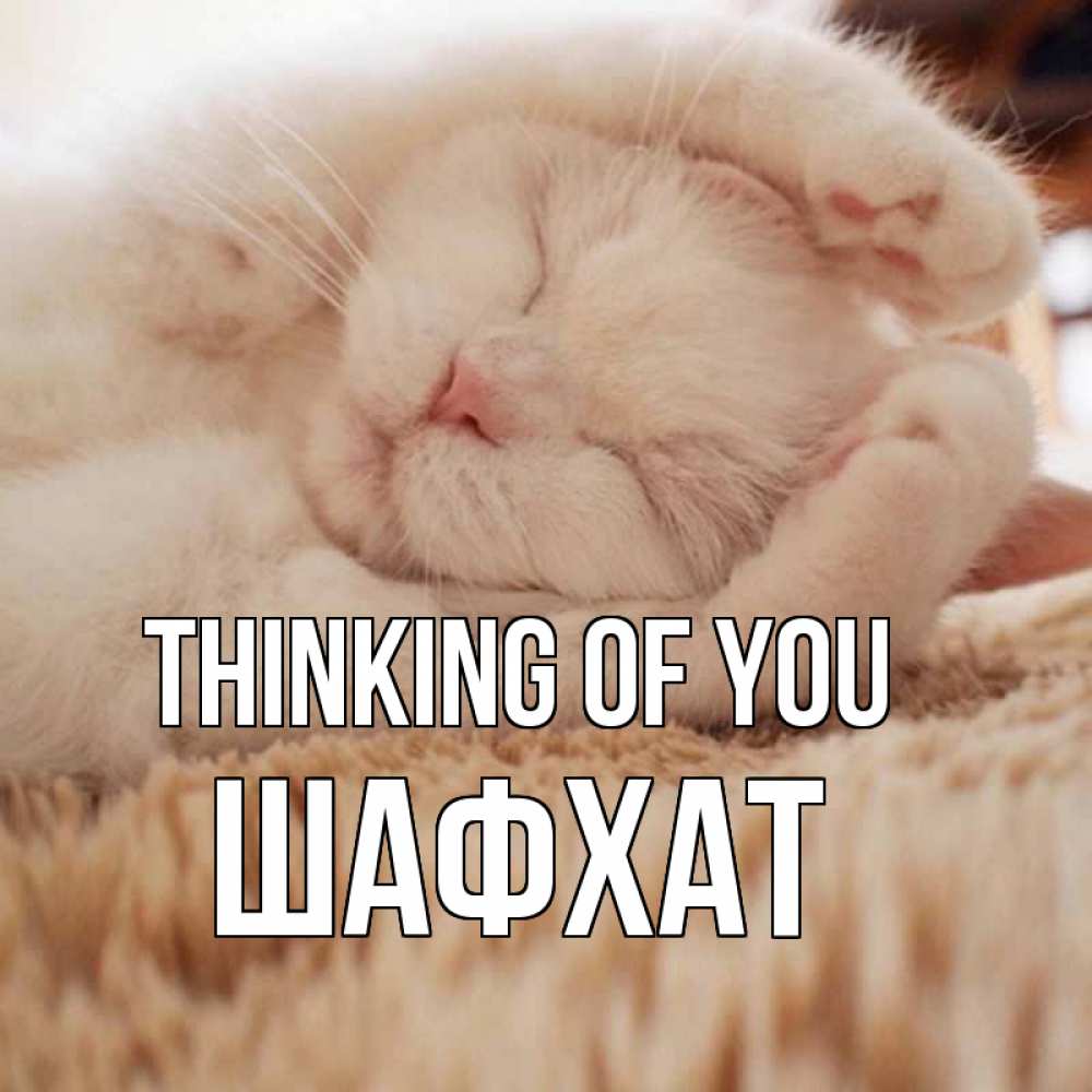 Greetings card с именем, ШАФХАТ Thinking of you для любимой девушки милота Greetings with text for free download 