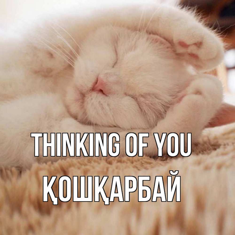 Greetings card с именем, ҚОШҚАРБАЙ Thinking of you для любимой девушки милота Greetings with text for free download 