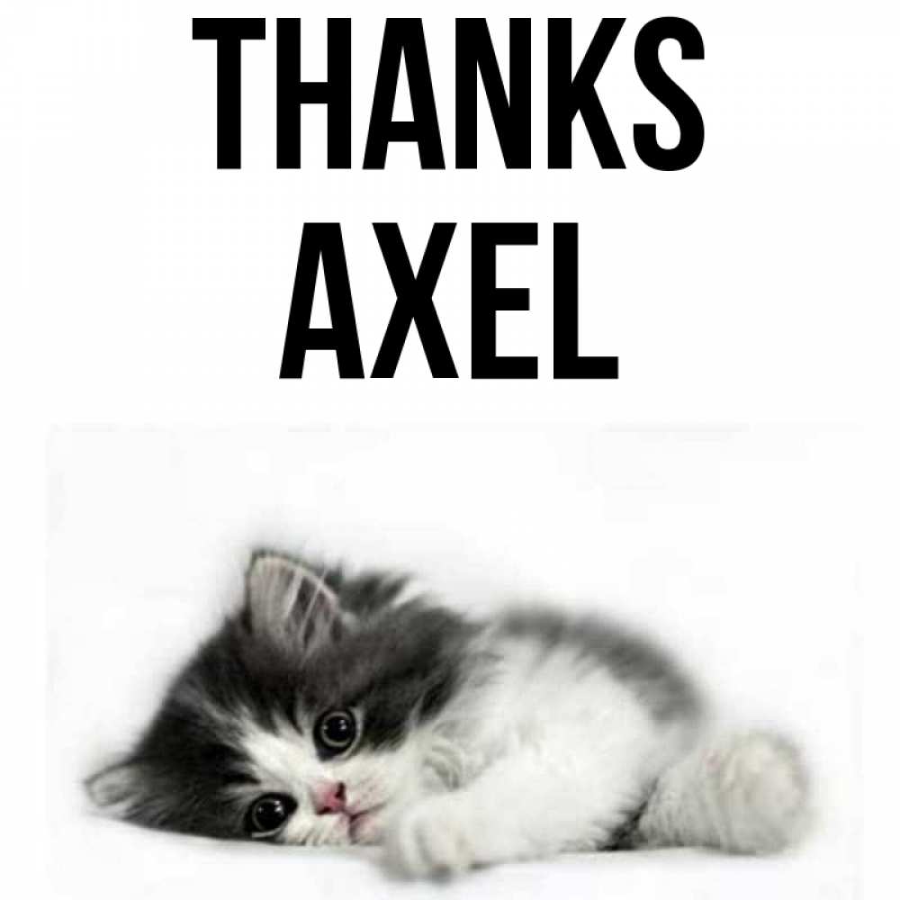 Greetings card с именем, Axel Thanks черный и белый кот Greetings with text for free download 