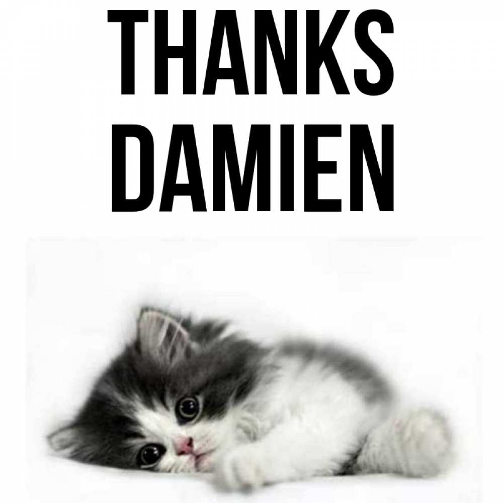 Greetings card с именем, Damien Thanks черный и белый кот Greetings with text for free download 