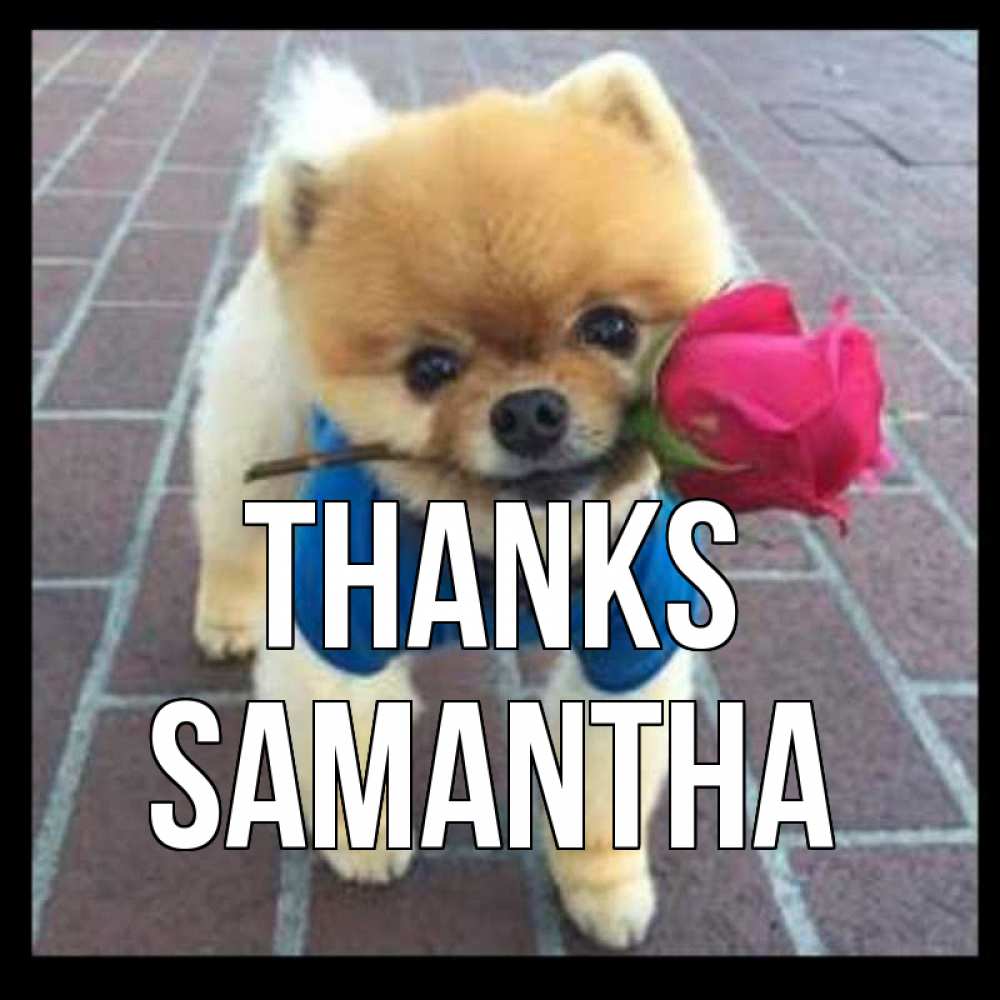 Greetings card с именем, Samantha Thanks спасибо и дарю тебе цветок Greetings with text for free download 