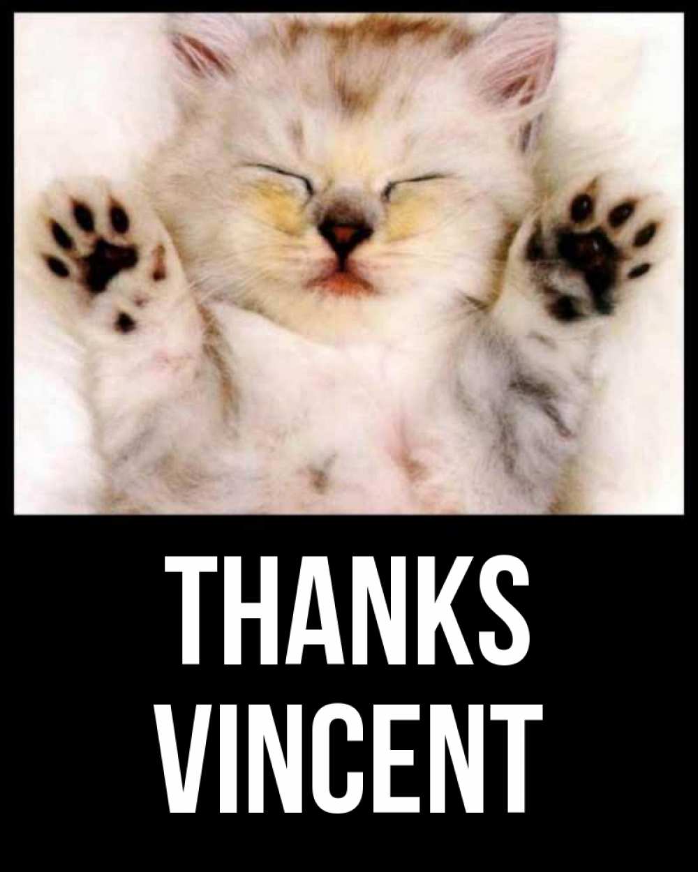 Greetings card с именем, Vincent Thanks маленький котенок Greetings with text for free download 