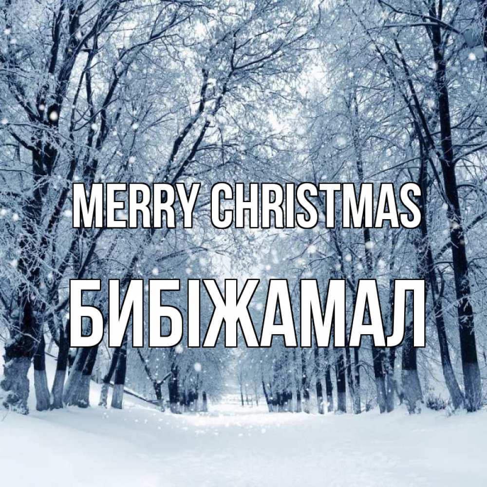 Greetings card с именем, БИБІЖАМАЛ Merry Christmas снег, лес, парк Greetings with text for free download 