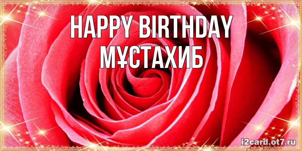 Greetings card с именем, МҰСТАХИБ Happy Birthday розовая роза очень крупный бутон Greetings with text for free download 