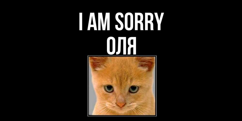 Greetings card с именем, Оля I am sorry рыжий грустный кот просит прощения Greetings with text for free download 