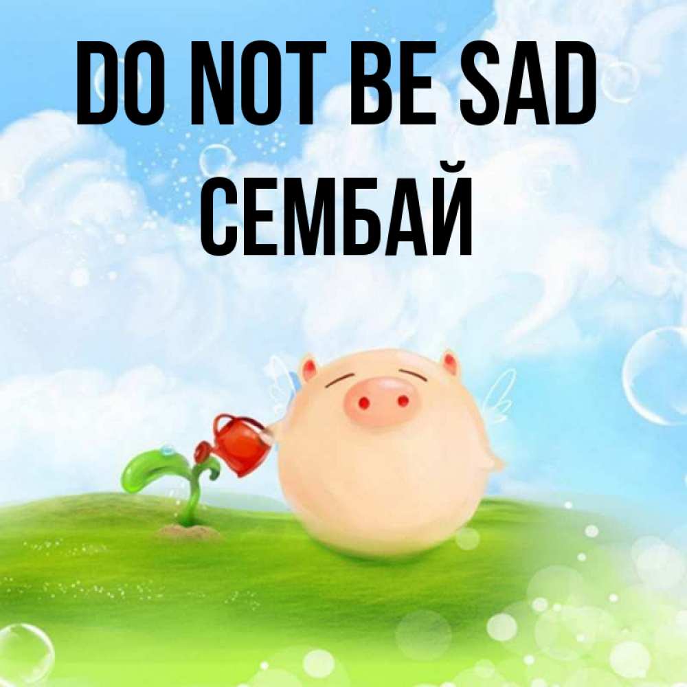 Greetings card с именем, СЕМБАЙ Do not be sad поливает цветок порося Greetings with text for free download 