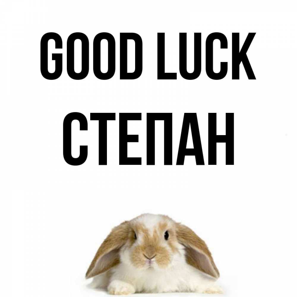Greetings card с именем, Степан Good luck открытки с произвольным текстом который можно вставить в открытку и создать ее самостоятельно бесплатно онлайн Greetings with text for free download 