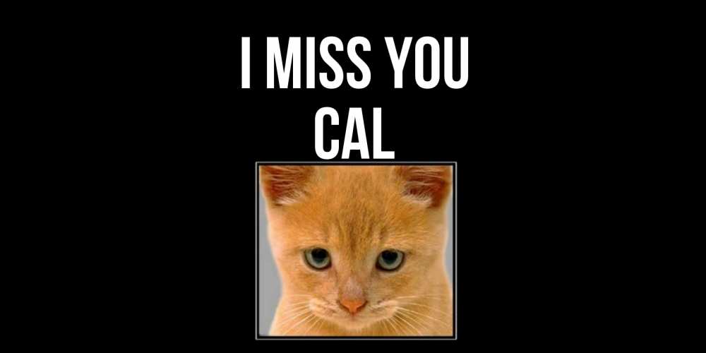 Greetings card с именем, Cal I miss you открытки рыжий котенок скучает по тебе Greetings with text for free download 