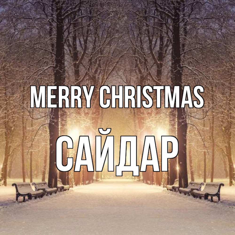 Greetings card с именем, САЙДАР Merry Christmas зима, парк, фонарь, лес Greetings with text for free download 