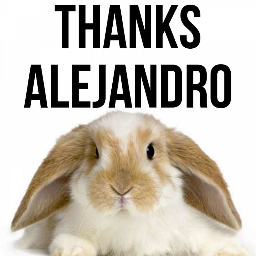 Greetings card с именем, Alejandro Thanks коричнево белый заяц Greetings with text for free download 