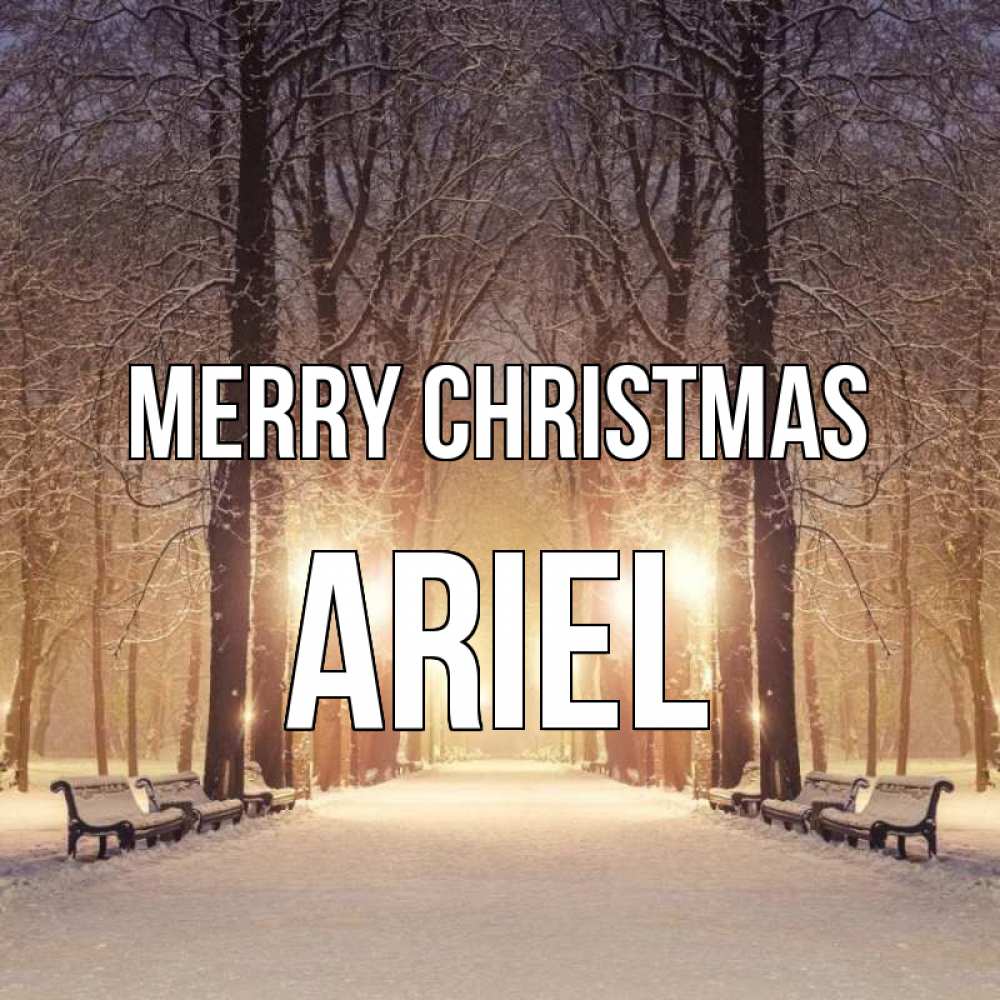 Greetings card с именем, Ariel Merry Christmas зима, парк, фонарь, лес Greetings with text for free download 
