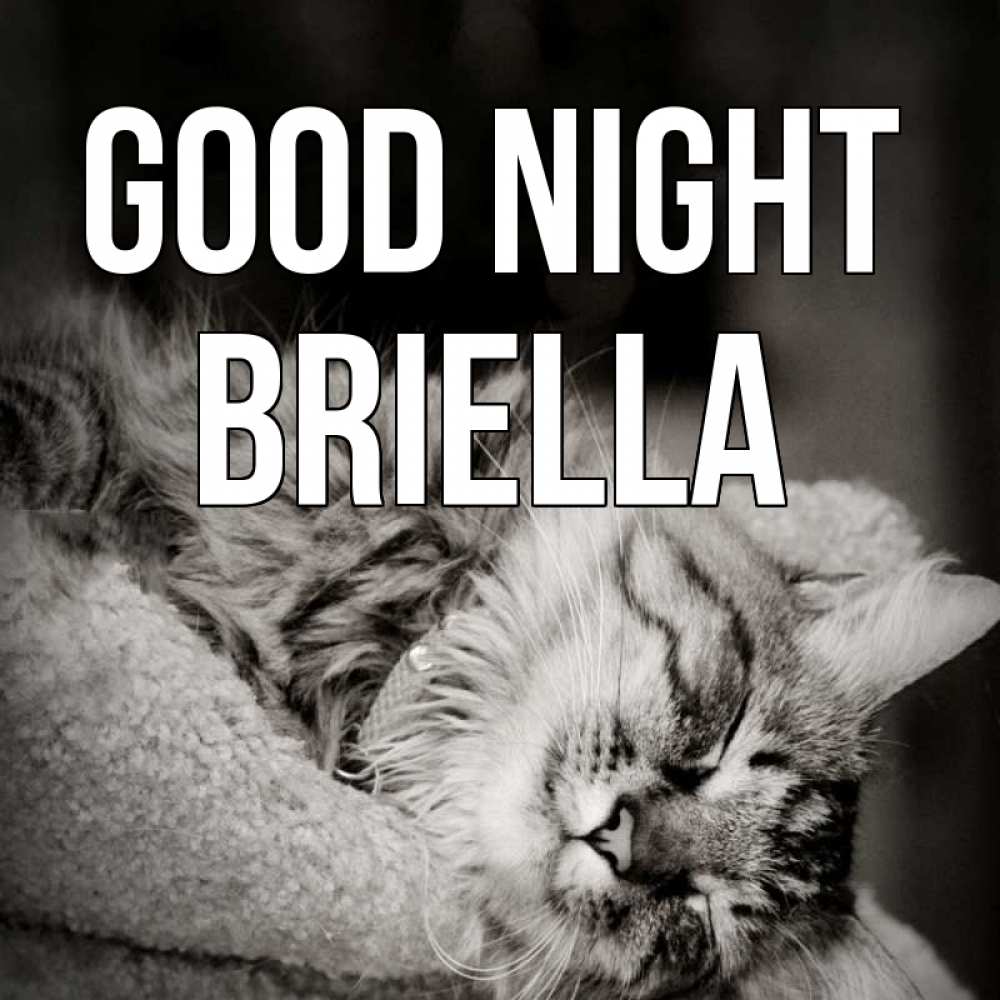 Greetings card с именем, Briella Good night котярик пушистый Greetings with text for free download 