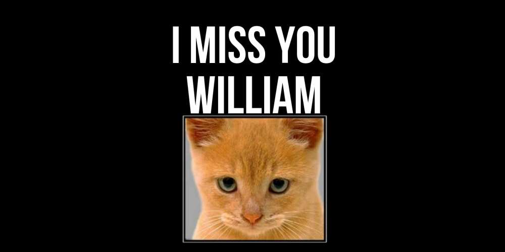 Greetings card с именем, William I miss you открытки рыжий котенок скучает по тебе Greetings with text for free download 