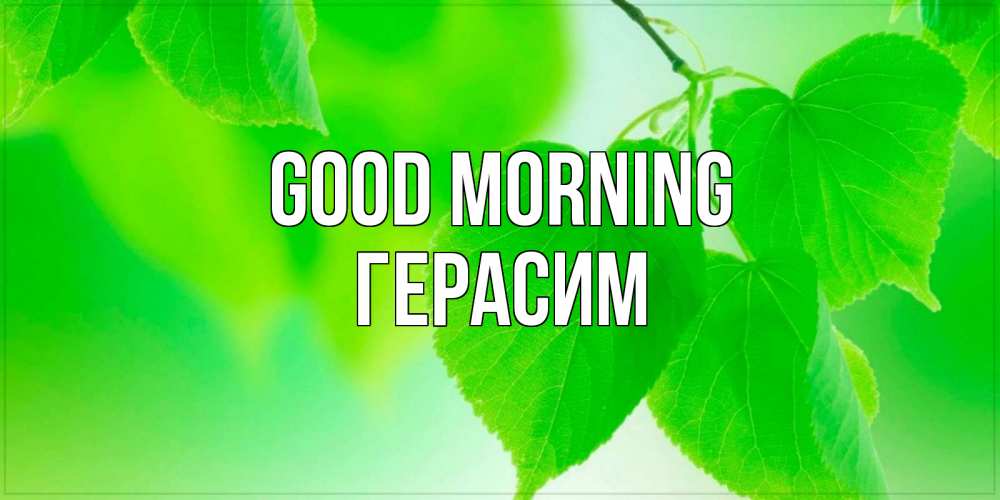Greetings card с именем, Герасим Good morning доброе утро с березовыми листьями Greetings with text for free download 