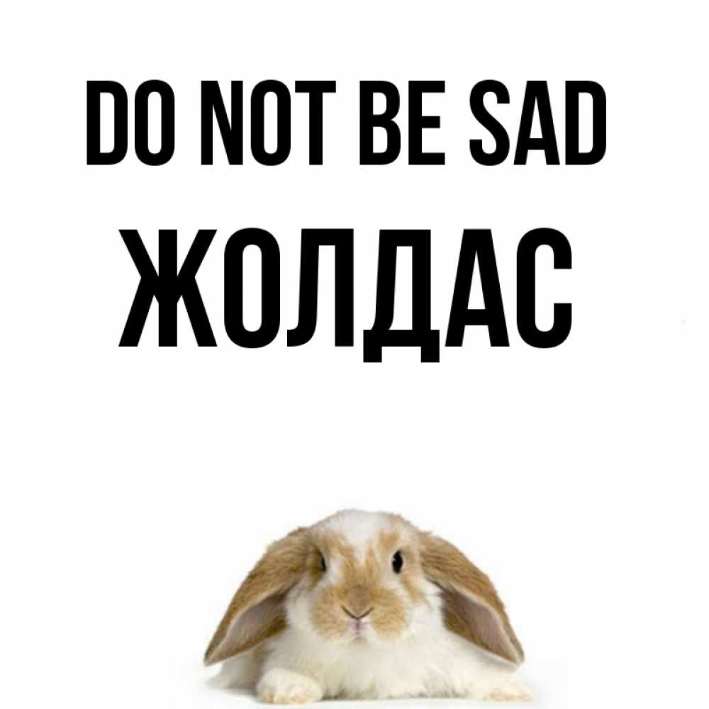 Greetings card с именем, Жолдас Do not be sad коричнево белый заяц с большими ушками Greetings with text for free download 