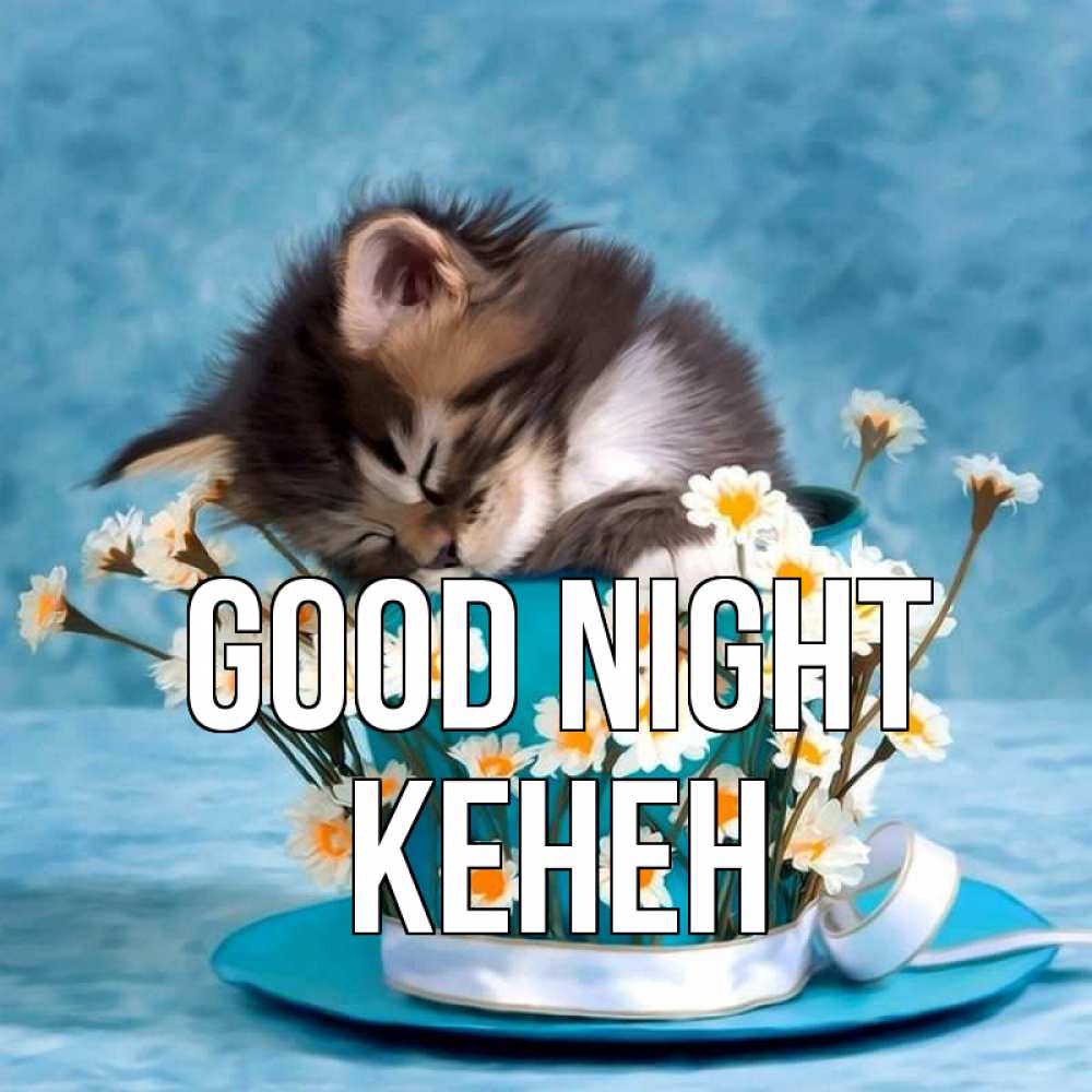 Greetings card с именем, Кенен Good night котенок спит в кружке с блюдцем Greetings with text for free download 