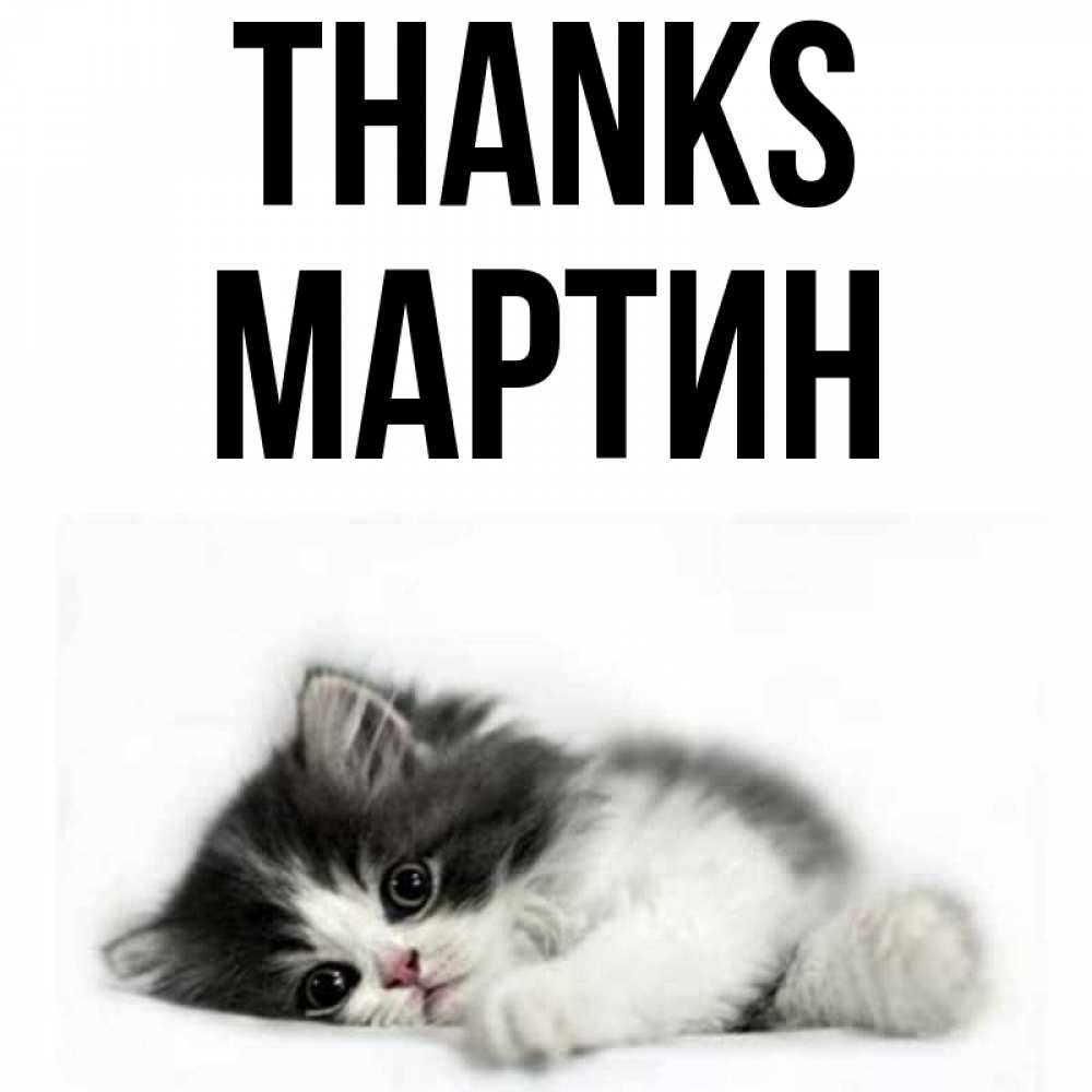 Greetings card с именем, Мартин Thanks черный и белый кот Greetings with text for free download 