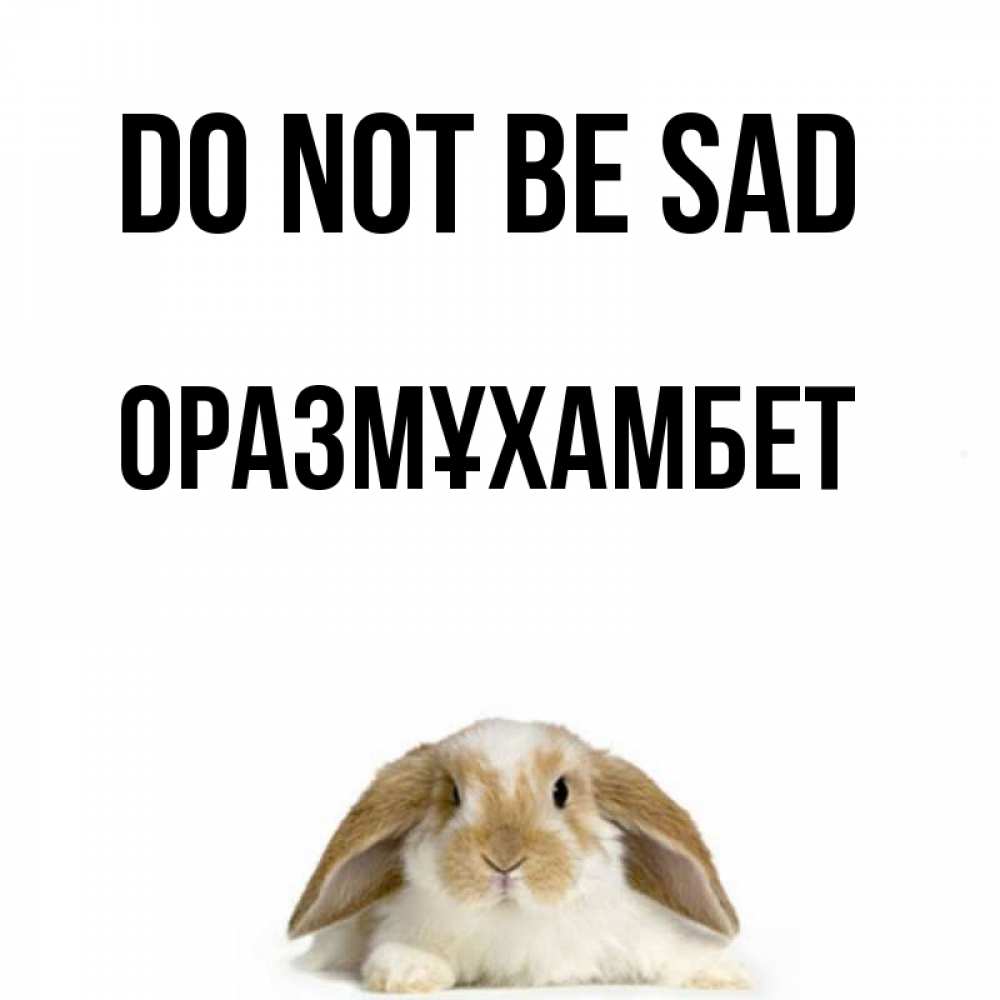 Greetings card с именем, ОРАЗМҰХАМБЕТ Do not be sad коричнево белый заяц с большими ушками Greetings with text for free download 