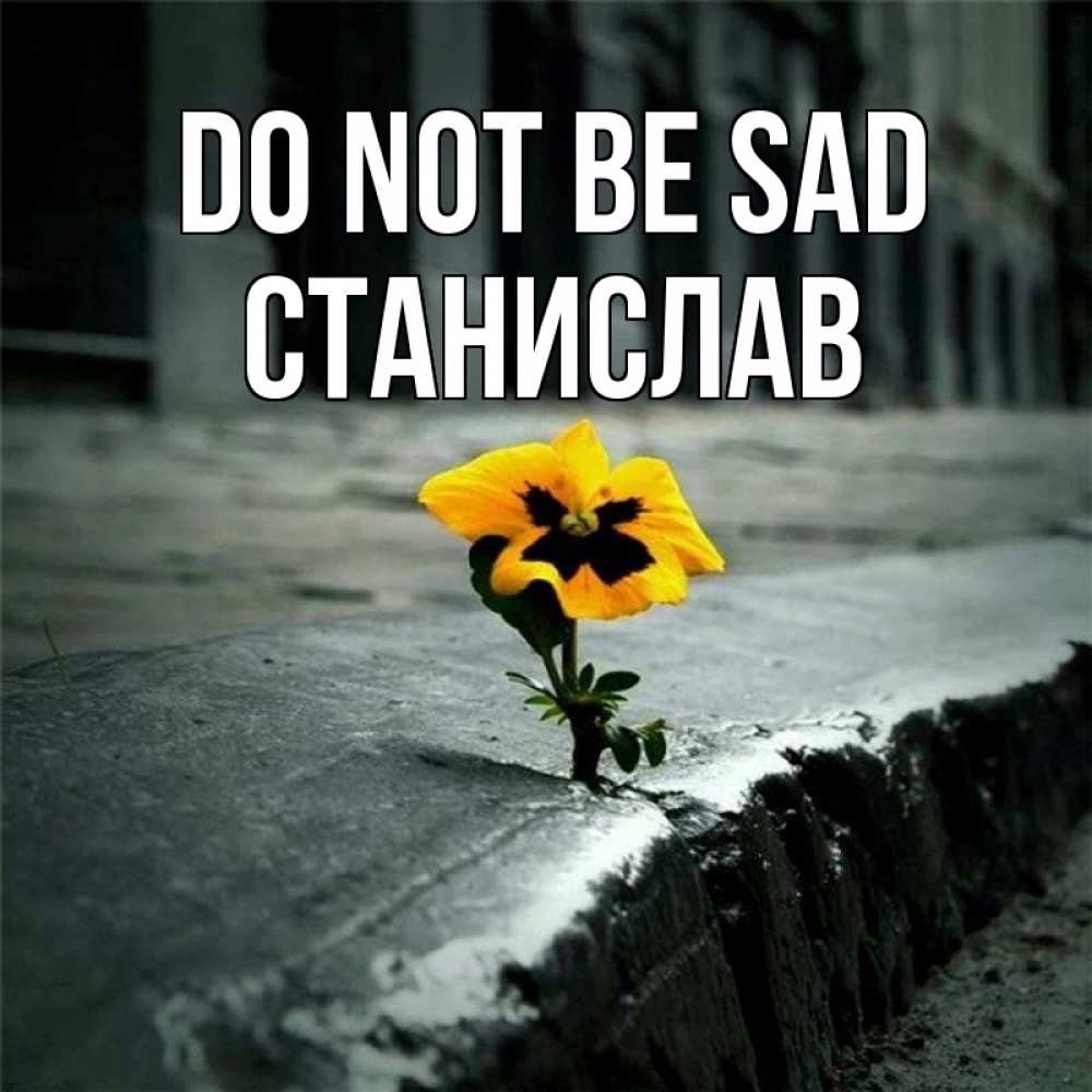 Greetings card с именем, Станислав Do not be sad не сдавайся Greetings with text for free download 