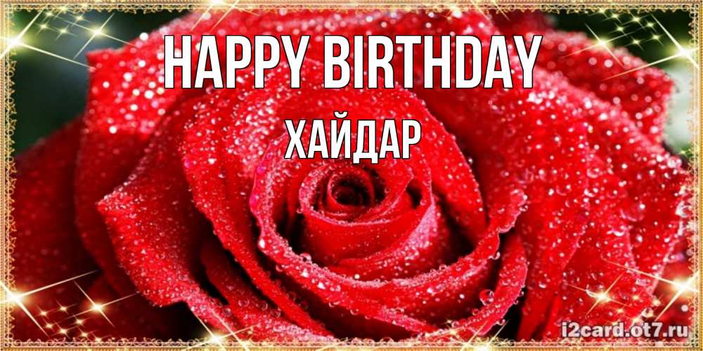 Greetings card с именем, ХАЙДАР Happy Birthday роса и роза. открытка с красивой розой Greetings with text for free download 