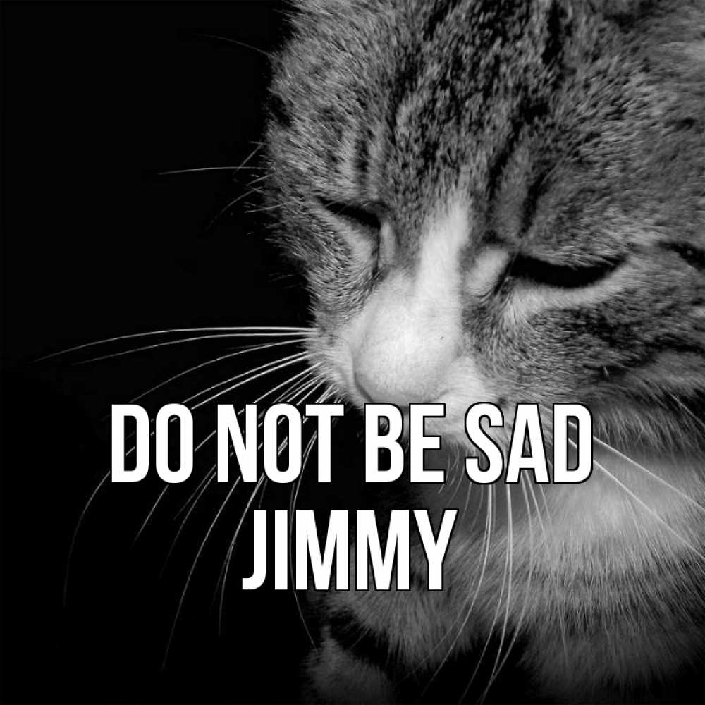 Greetings card с именем, Jimmy Do not be sad грустный котик Greetings with text for free download 