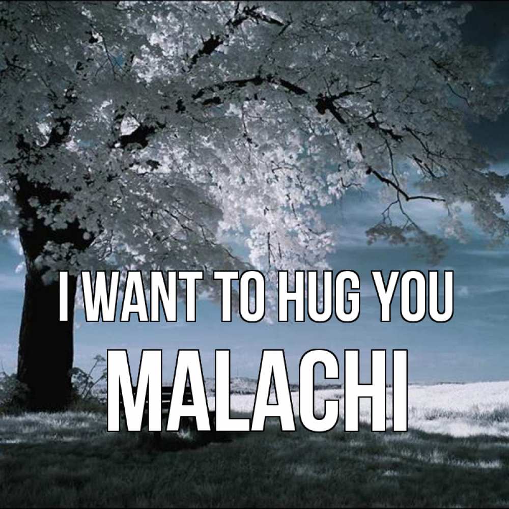 Greetings card с именем, Malachi I want to hug you дерево Greetings with text for free download 