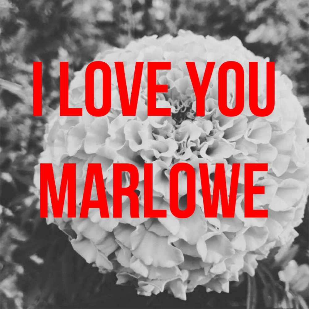 Greetings card с именем, Marlowe I love you подпись Greetings with text for free download 