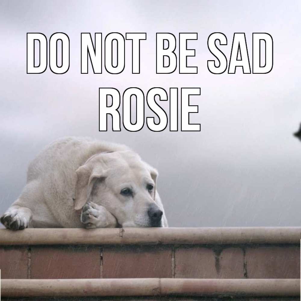 Greetings card с именем, Rosie Do not be sad белый пес 1 Greetings with text for free download 
