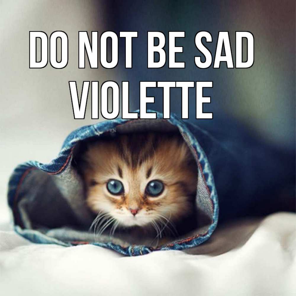Greetings card с именем, Violette Do not be sad рыжик котик Greetings with text for free download 