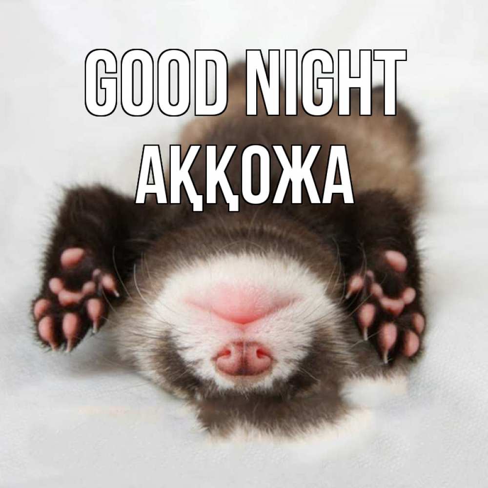 Greetings card с именем, Аққожа Good night зверек Greetings with text for free download 