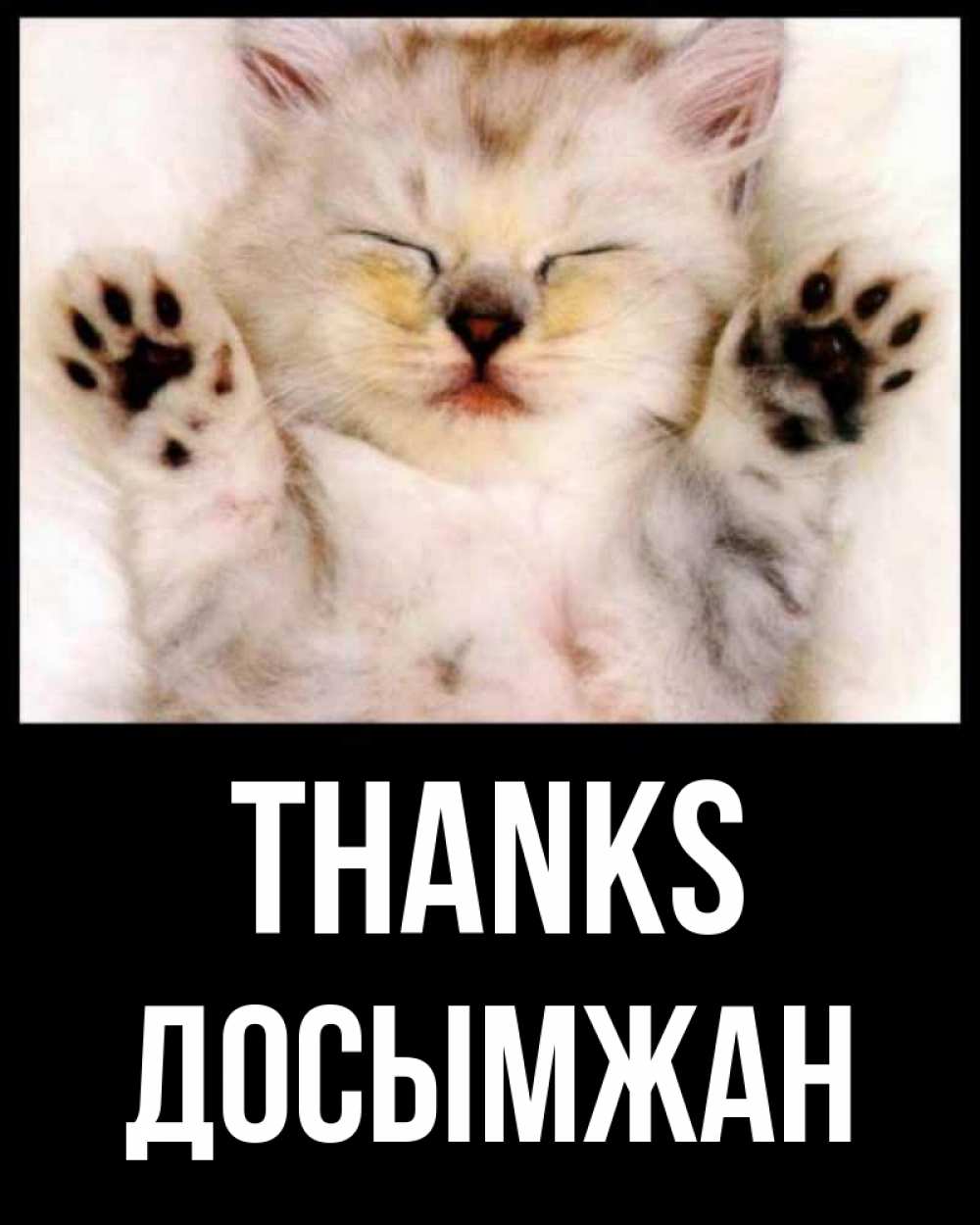 Greetings card с именем, Досымжан Thanks маленький котенок Greetings with text for free download 