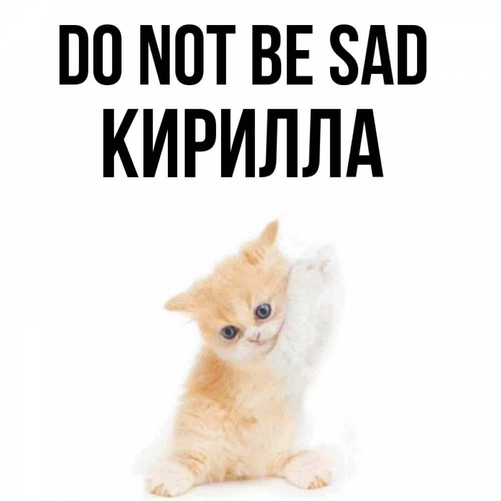 Greetings card с именем, Кирилла Do not be sad просящий кот Greetings with text for free download 