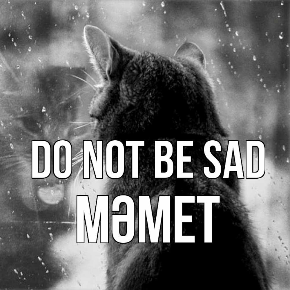 Greetings card с именем, Мәмет Do not be sad отражение кота 1 Greetings with text for free download 