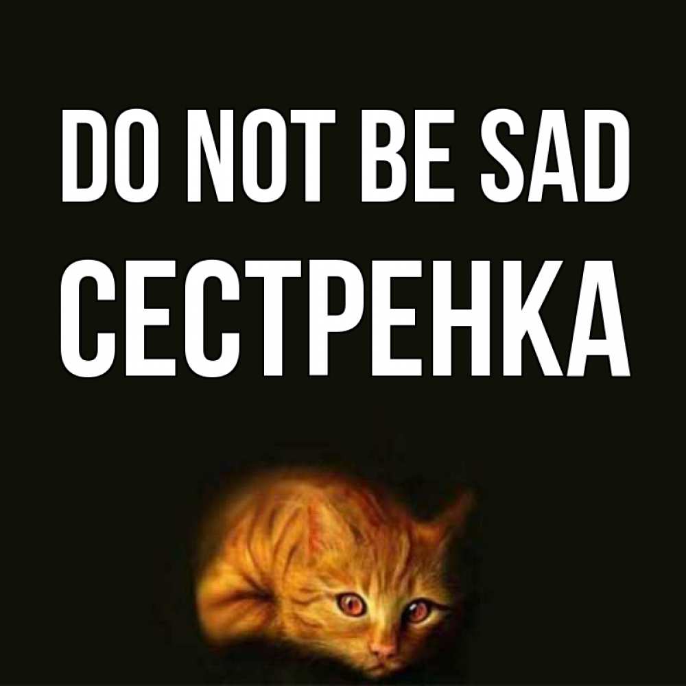 Greetings card с именем, Сестренка Do not be sad лежащий кот в темноте Greetings with text for free download 