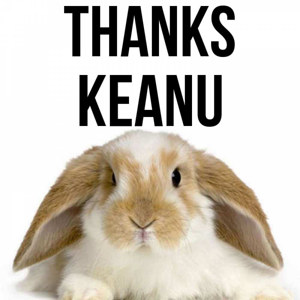 Greetings card с именем, Keanu Thanks коричнево белый заяц Greetings with text for free download 