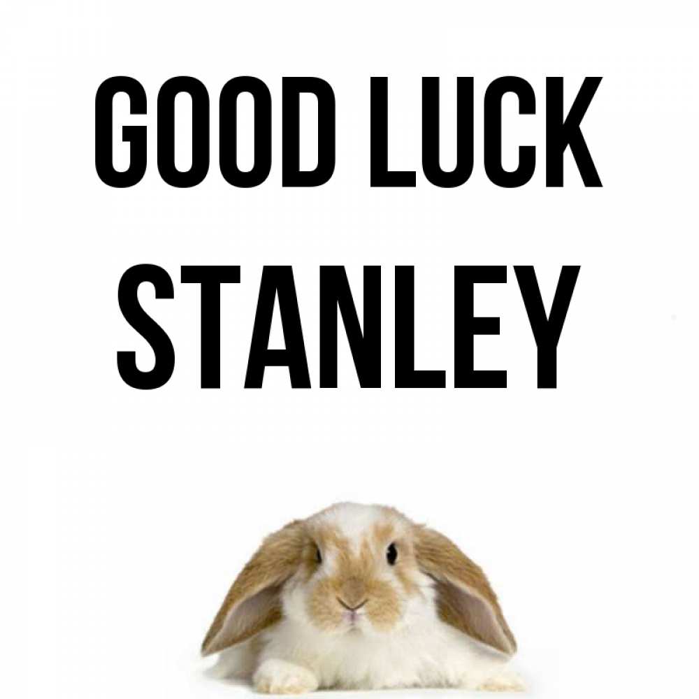 Greetings card с именем, Stanley Good luck открытки с произвольным текстом который можно вставить в открытку и создать ее самостоятельно бесплатно онлайн Greetings with text for free download 