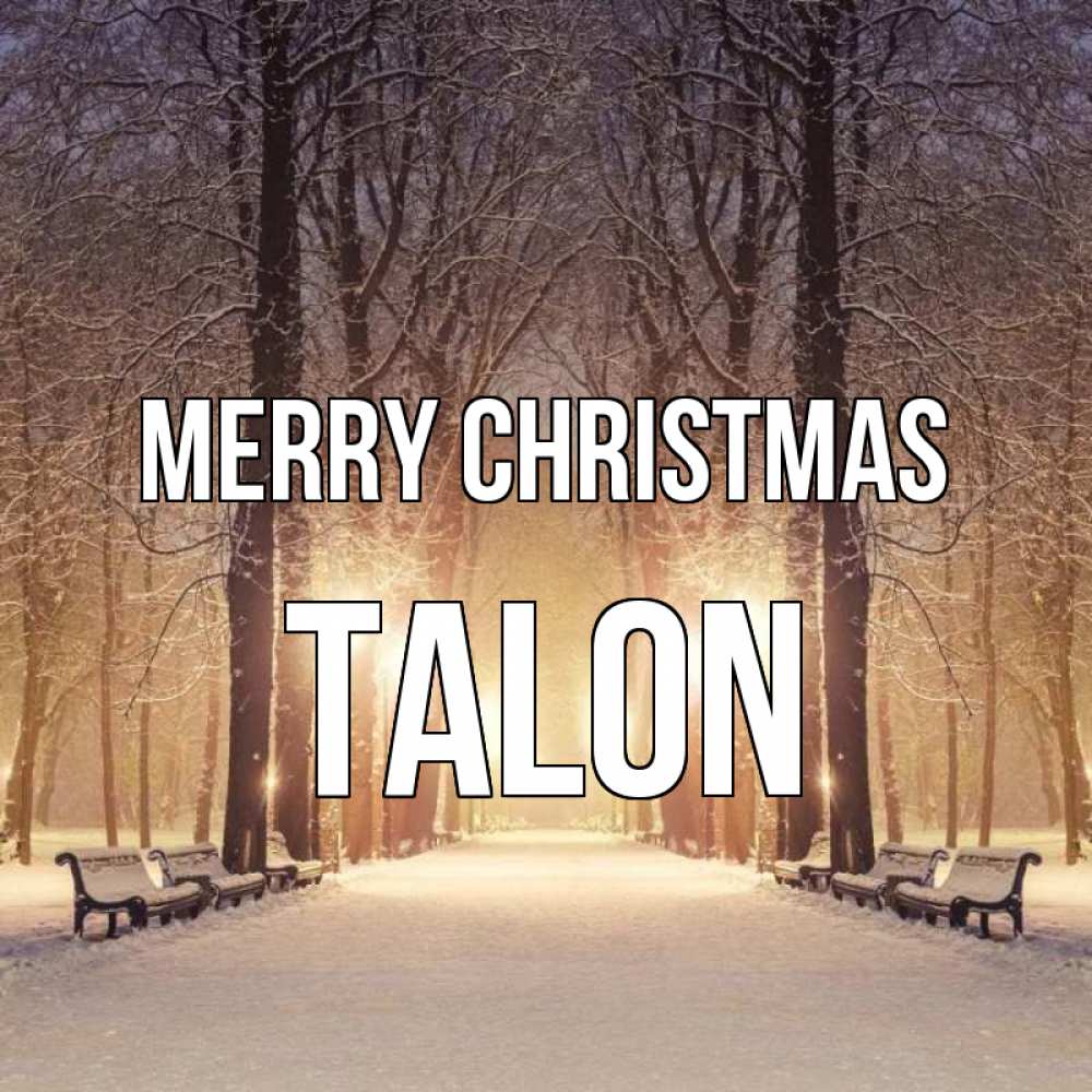 Greetings card с именем, Talon Merry Christmas зима, парк, фонарь, лес Greetings with text for free download 