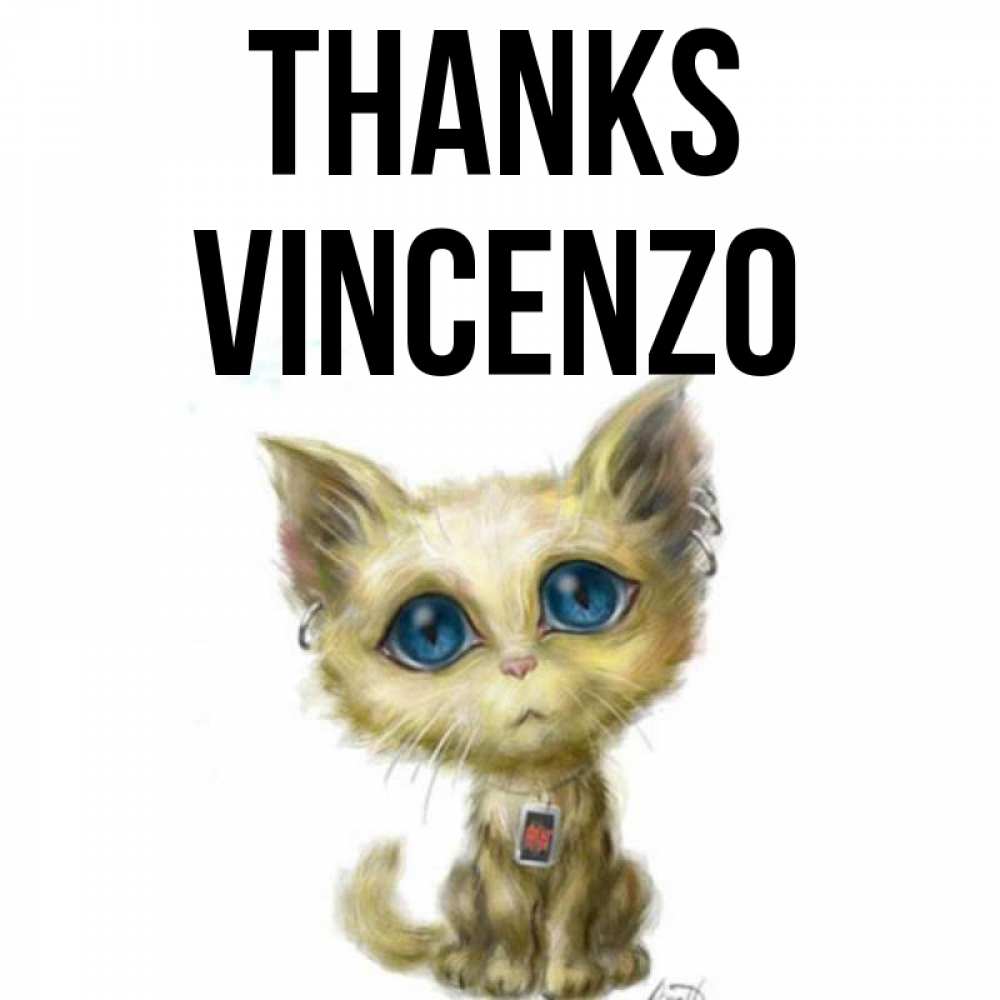 Greetings card с именем, Vincenzo Thanks рисованный кот благодарит вас Greetings with text for free download 