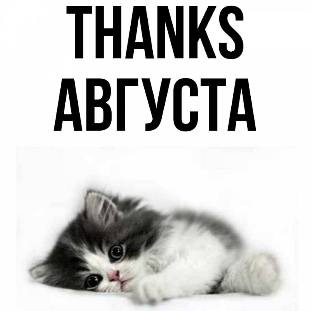 Greetings card с именем, Августа Thanks черный и белый кот Greetings with text for free download 