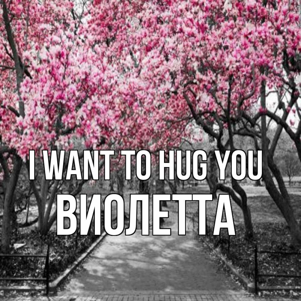 Greetings card с именем, Виолетта I want to hug you обработанное фото Greetings with text for free download 